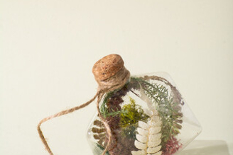 Лимитированная коллекция 25/26