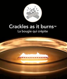 Джелато с перцем чили, ароматическая свеча эллипс, WoodWick