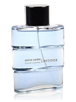 Pierre Cardin pour Homme l'Intense