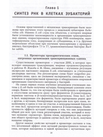 РНК: синтез и функции