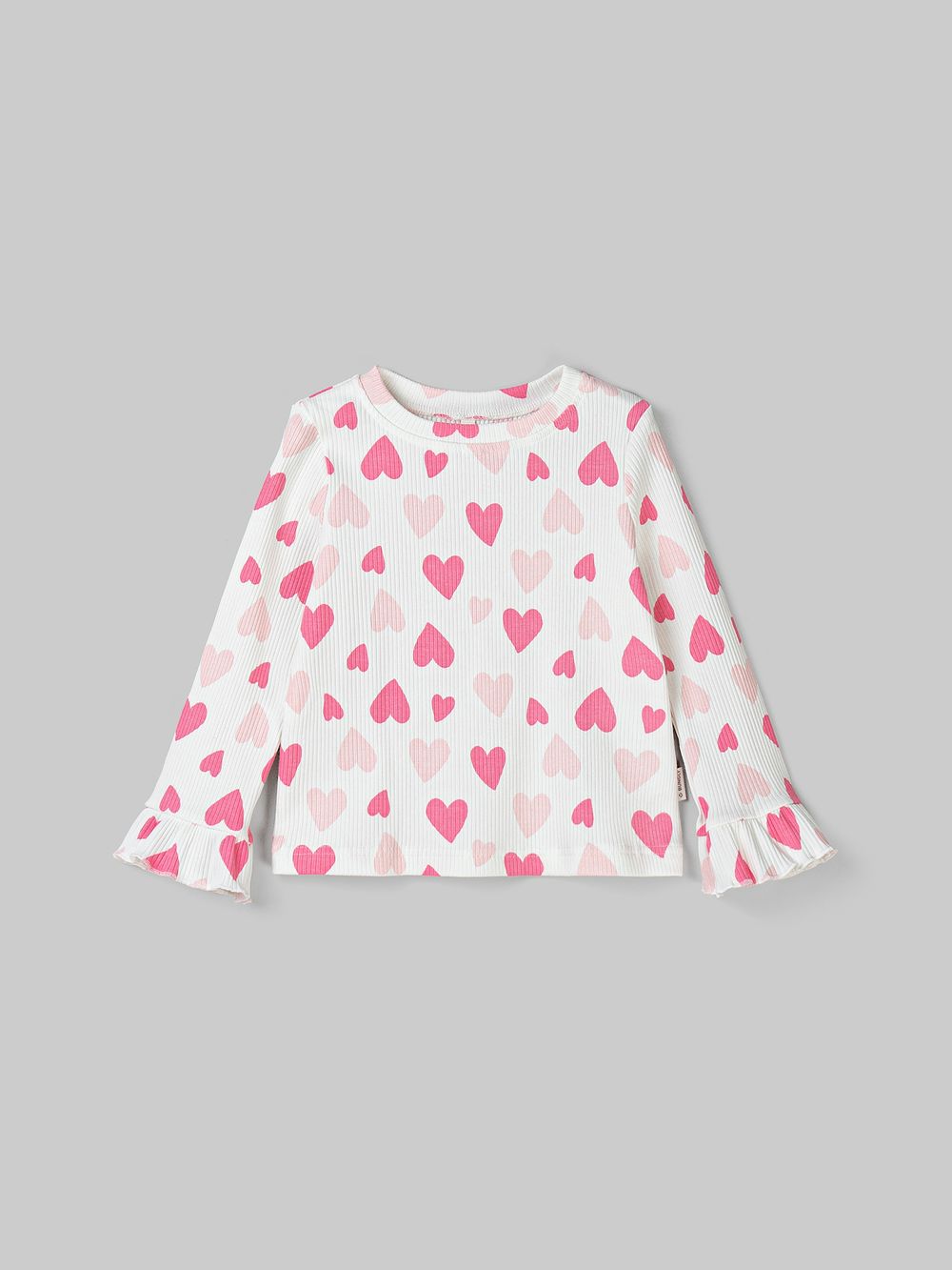 предметное