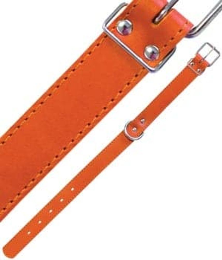 ОШЕЙНИК "BUDDY"  30мм КОЖА Н/У 36-48см В20212