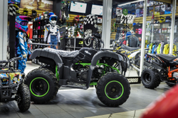 MOTAX ATV Grizlik Lux 200 cc 4TЧерно-зеленый