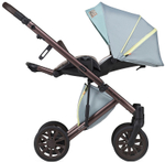 Детская коляска Anex e/type 2 в 1 wilson