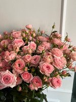 Пионовидная кустовая роза в персиковом оттенке