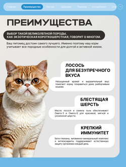 Корм сухой для взрослых кошек породы Экзотическая короткошерстная, с лососем, 5 кг, QUATTRO
