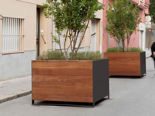 Цветочница Рока