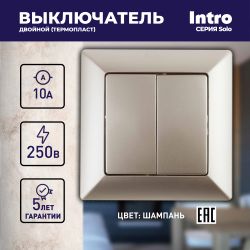 Выключатель Intro Solo 4-104-04 двухклавишный 10А-250В, IP20, СУ, шампань