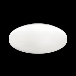 3017/DLN PALE SN 218 Светильник пластик/белый LED 48Вт 3000/4000/6000К D400 IP43 CCT SIMPLE