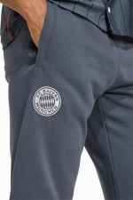 Штаны adidas FC Bayern 25/26 US Pack - серый