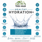 Terra Origin, Healthy Hydration +, лимонад, 30 пакетиков, по 5,8 г (0,20 унции)