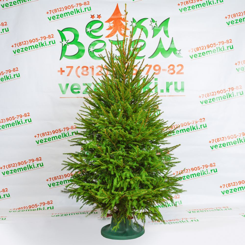 Фотогалерея