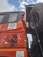 Shacman (Shaanxi) SX* 8x4 Самосвал SX33186T366 (Дизельный, 12,5 л, 550 л.с., МТ)
