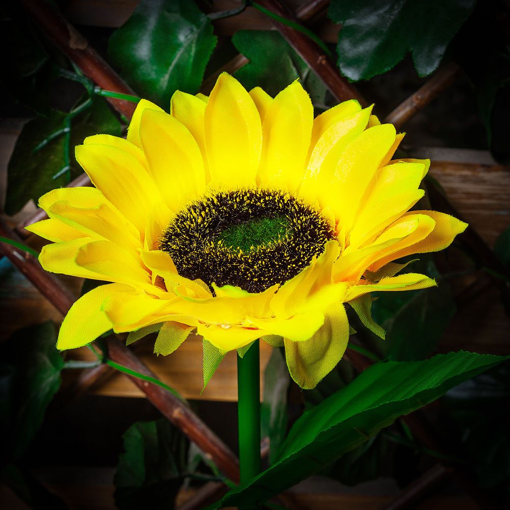 USL-S-814-PT700 SUNFLOWER Садовый светильник на солнечной батарее Подсолнух. 8 светодиодов. Теплый белый свет. 1xАА Ni-Mh аккумулятор в-к. IP44. TM Uniel