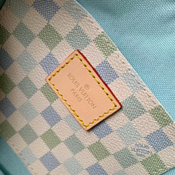 Louis Vuitton Speedy 20