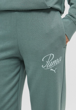 Брюки спортивные женские PUMA ESS SCRIPT Comfort Sweatpants TR cl