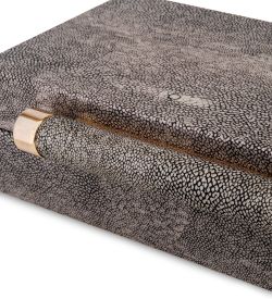 IG-218 Шкатулка «Скат»