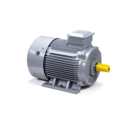 Электродвигатель ESQ PR 315 M6 GST-Б1-S32-IE2 132/1000 IM1001