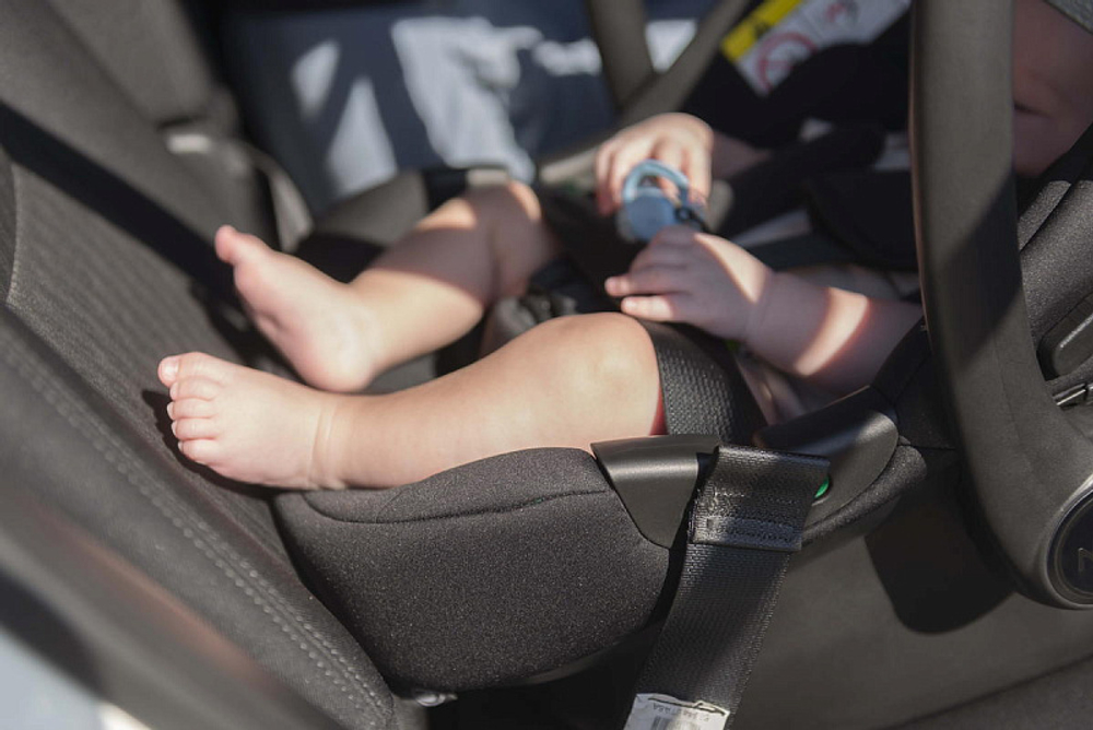 Коляска Carrello Vector 2025 CRL-6551 Nova DK791 Black Line 3 в 1 Shadow Black