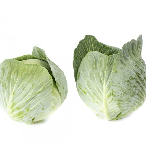 ЛАГРИМА F1 семена капусты белокочанной Rijk Zwaan цена – фото 2