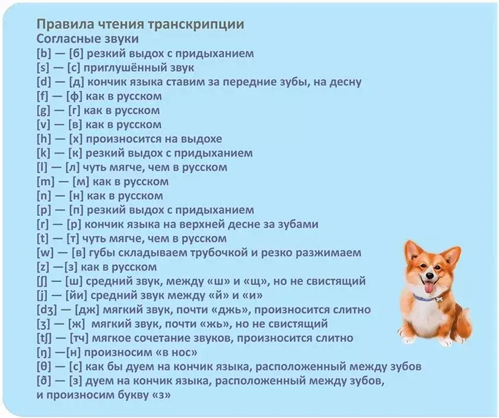 Тренажер - перевертыш