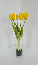 Тюльпаны бахромчатые / Арт 2544