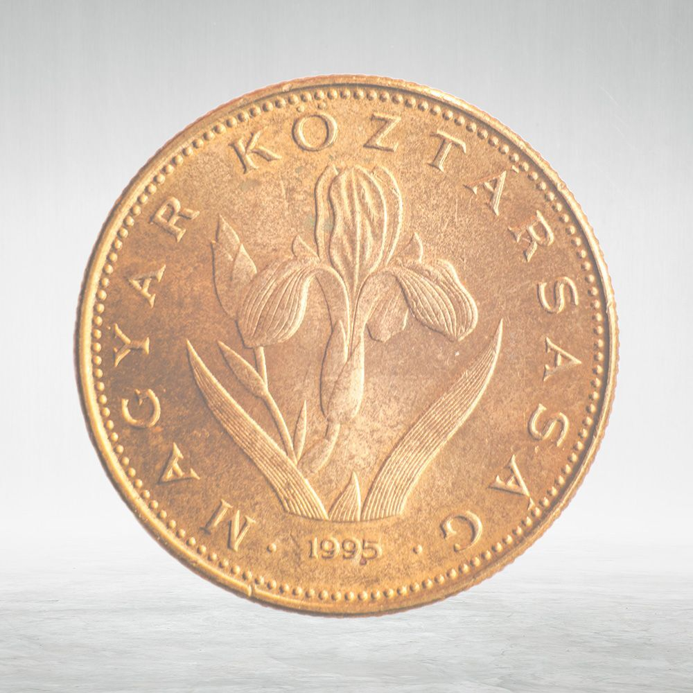 Hungary, 20 Forint, 1995, VF