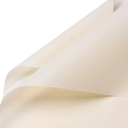 ЛИСТ 58*58/20шт СВЕТЛЫЙ №2