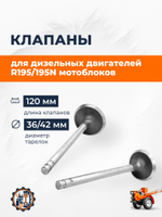 B119-2-195N-RT