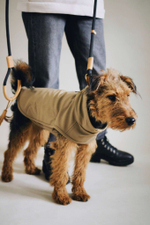 Попона "Пони-попони" песочная