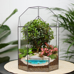 Готовый флорариум бонсай Мирсина Бонсариум с озером