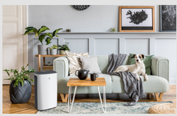 218_ Осушитель воздуха серии CARISMA Loft арт. RD-CR20-E ROYAL CLIMA