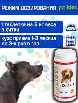 Polidex Recovit для собак, Кормовая добавка для восстановления организма после операций, травм, больших потерь крови, Полидекс Рековит, 150 таб