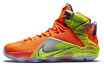 Кроссовки Nike Lebron 12 Six Meridians