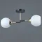 IL0689-2CSQ-24 BK FGD LIBRA светильник потолочный