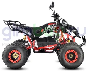 Электроквадроцикл WHITE SIBERIA SNEG PRO R 3000W фото 5 фото №7