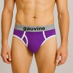 Мужские трусы брифы фиолетовые GAUVINE 2002