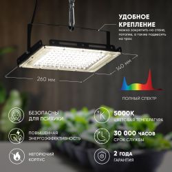Фитопрожектор для растений светодиодный ЭРА FITO-80W-Ra90-LED-Y полного спектра