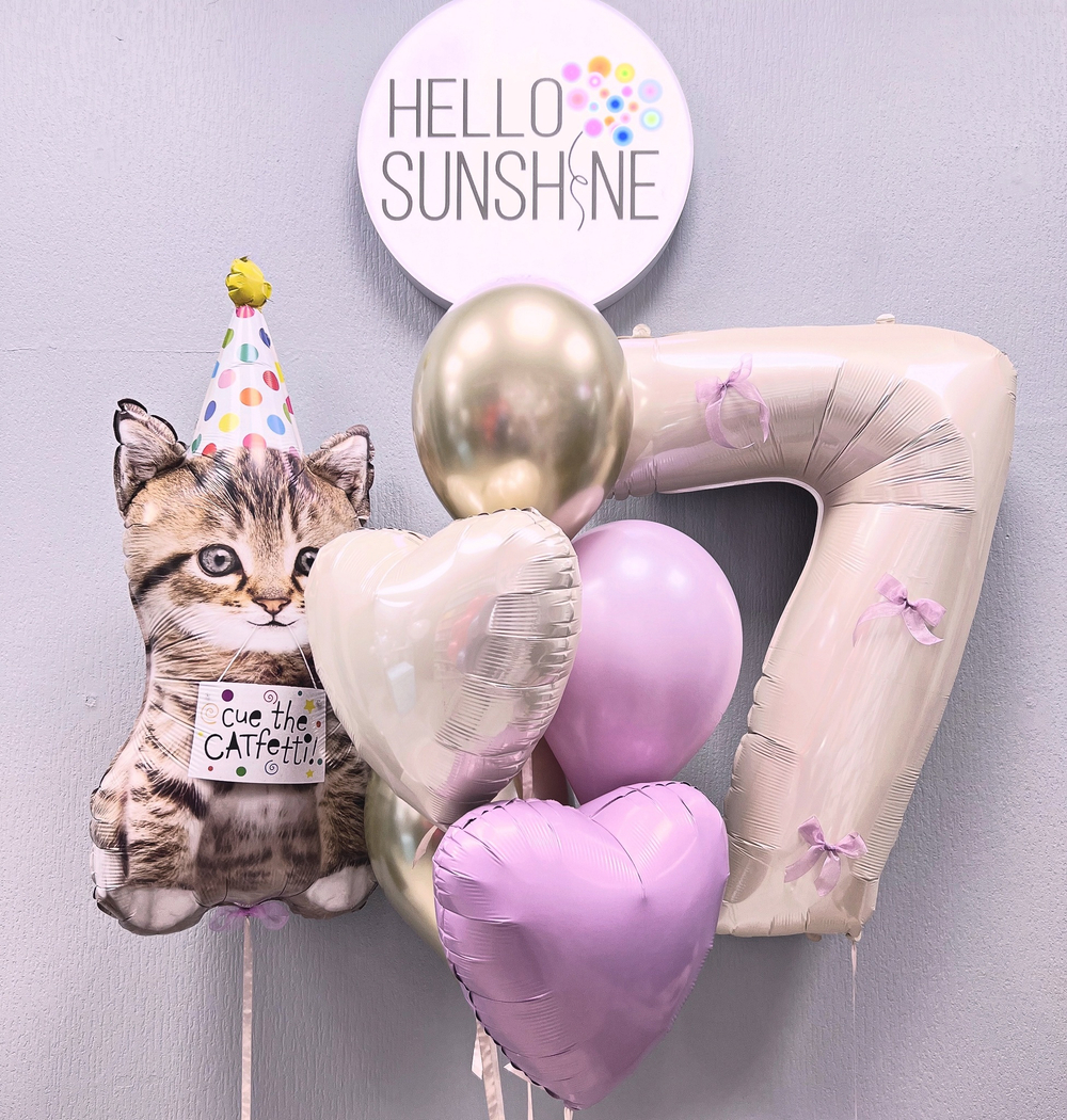 Набор шаров «Happy» котик