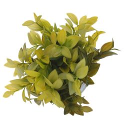 GAEM Цветочная композиция, L12 W12 H20 см