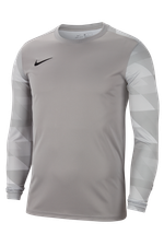 Вратарская кофта Nike Dry Park IV LS GK
