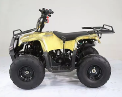 Квадроцикл MOTOLAND (МОТОЛЕНД) 110 RIDER