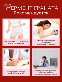 Фермент граната с коллагеном, 32 стика по 10г.