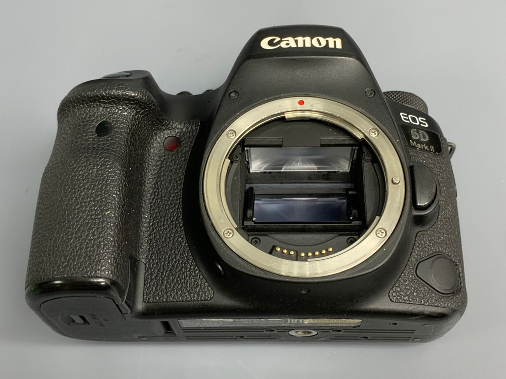 Canon 6D Mark II 105.000 кадров
