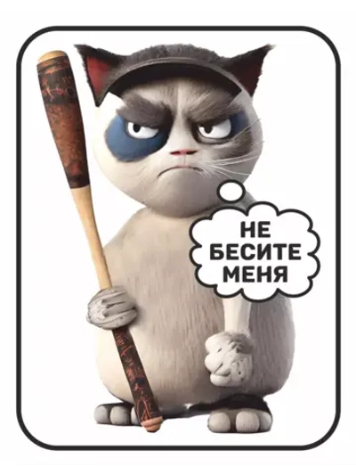 Наклейка на авто надпись с котом