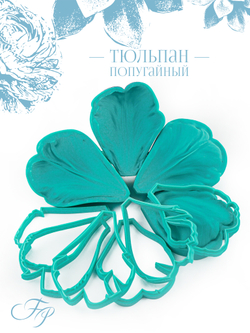 Тюльпан попугайный