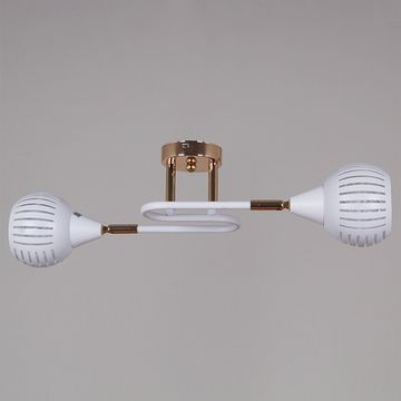 70059-3.3-02 FG+WH светильник потолочный