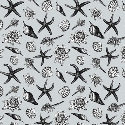 Ракушки в графике