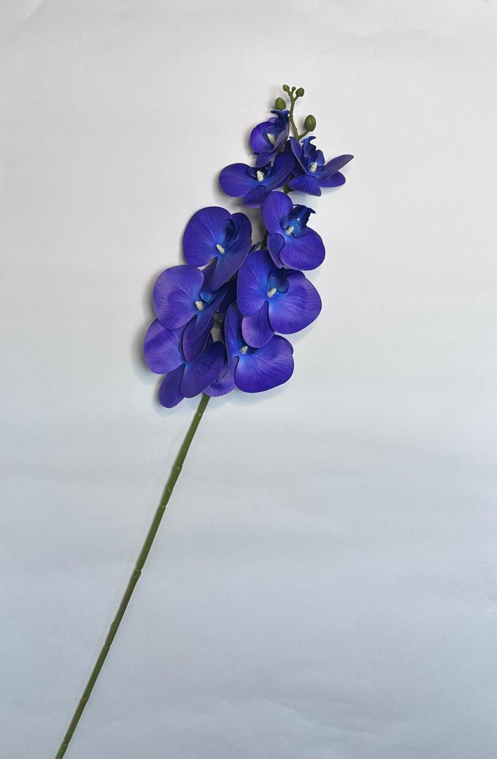 Орхидея ветка