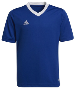 Футболка для мальчика теннисная Adidas Kids Entrada 22 Jersey - небесный